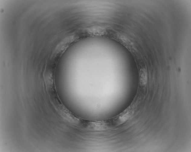 X0000073730713200608031330