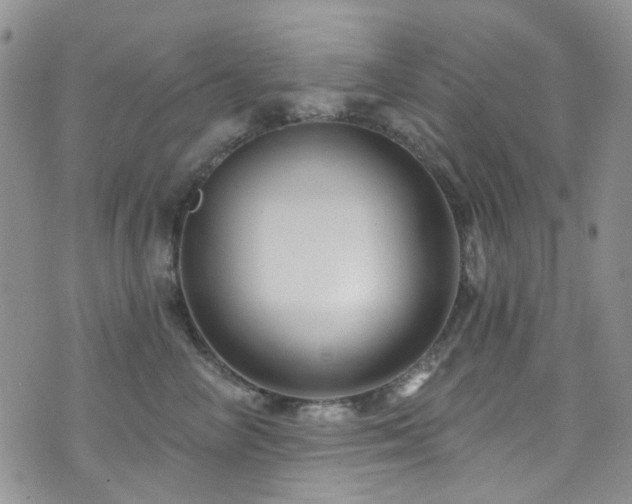 X0000073730714200608031330