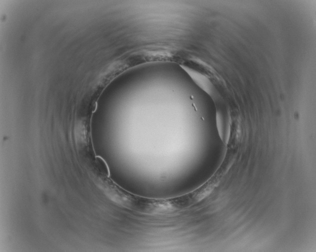 X0000073730715200608031330