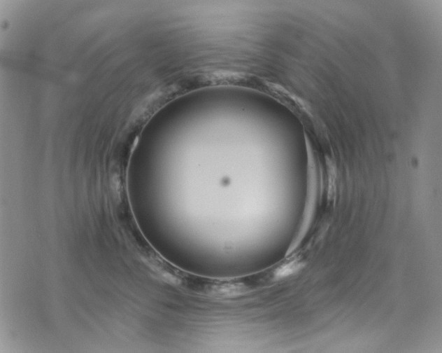 X0000073730716200608031330