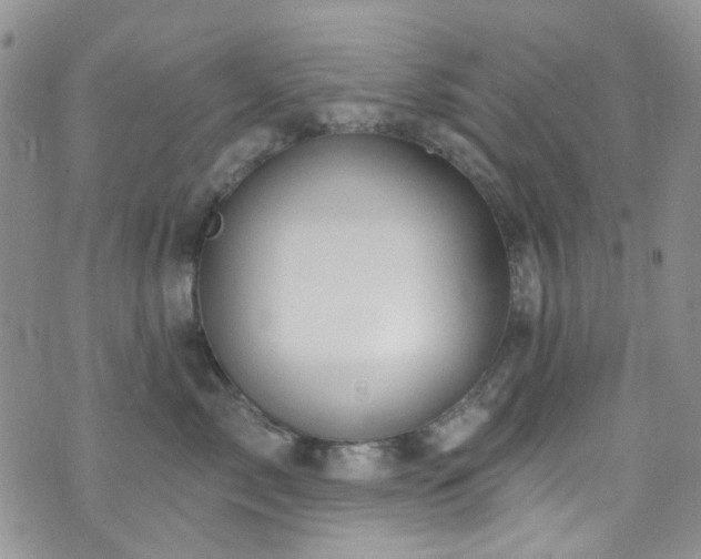 X0000073730717200608031329