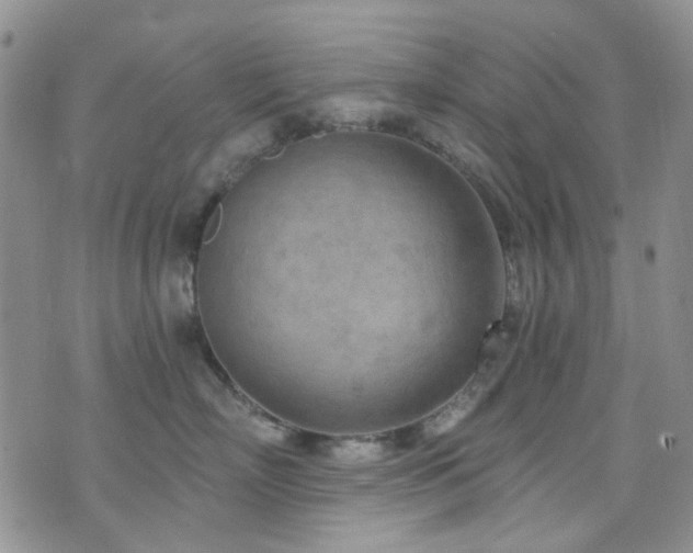 X0000073730718200608031329