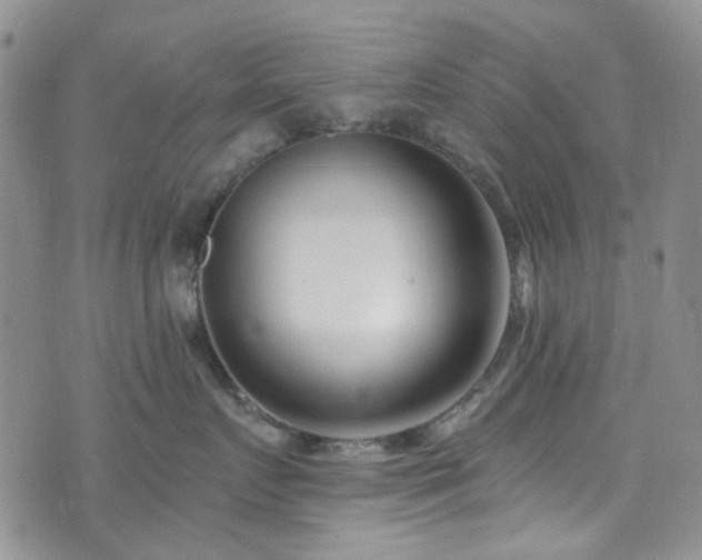 X0000073730719200608031329