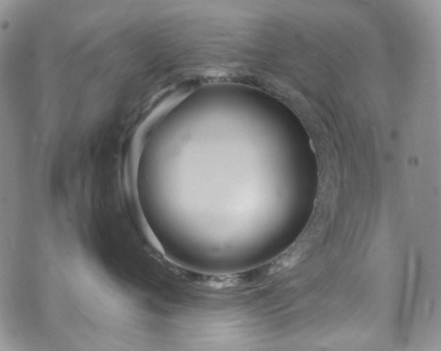 X0000073730720200608031329