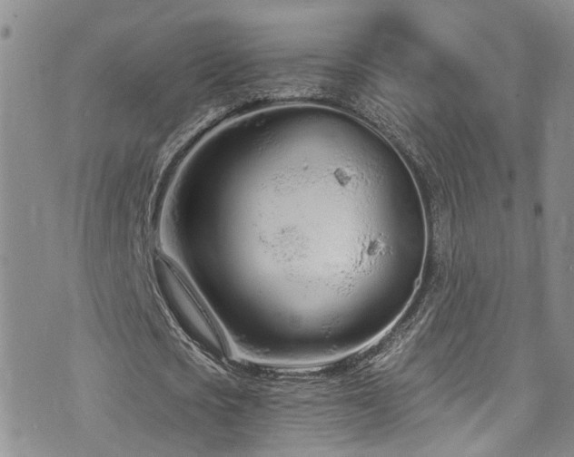 X0000073730721200608031329