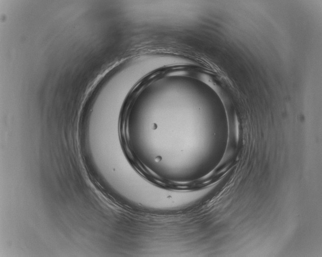 X0000073730722200608031329