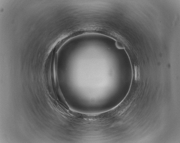 X0000073730723200608031329