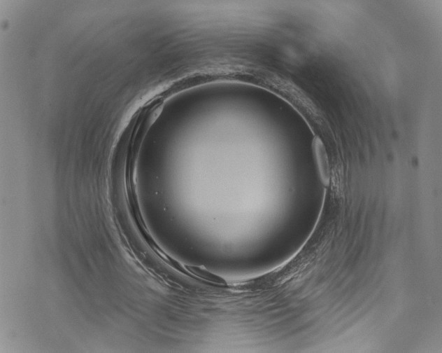 X0000073730724200608031329