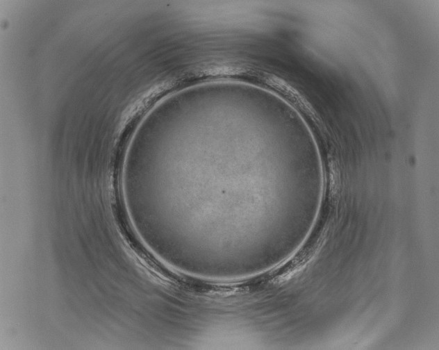 X0000073730725200608031329