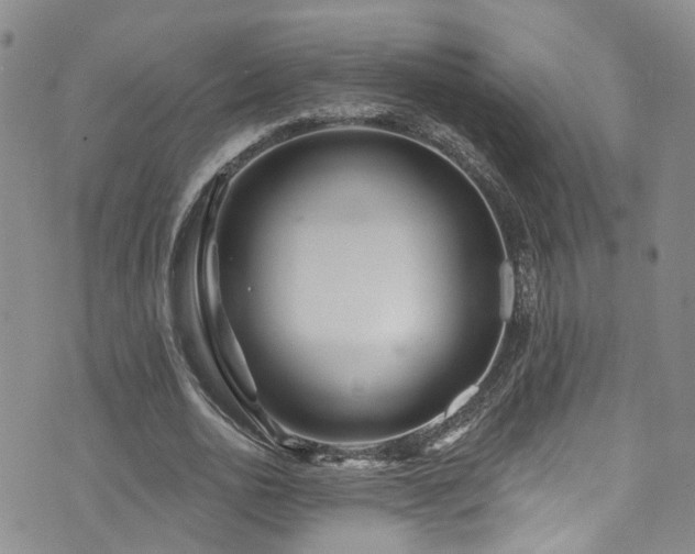 X0000073730726200608031329