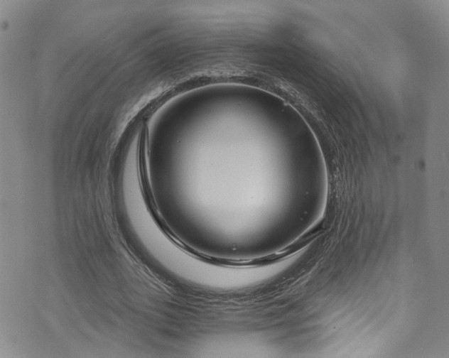 X0000073730727200608031329