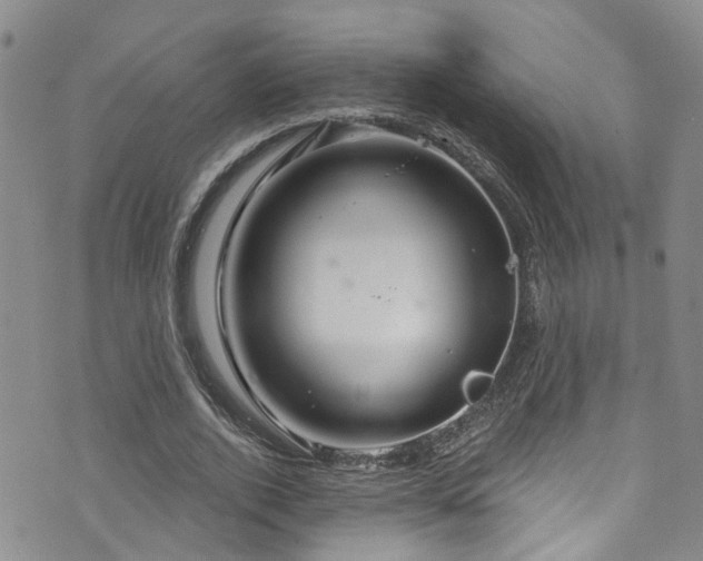 X0000073730728200608031329