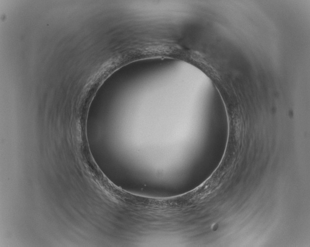 X0000073730729200608031329