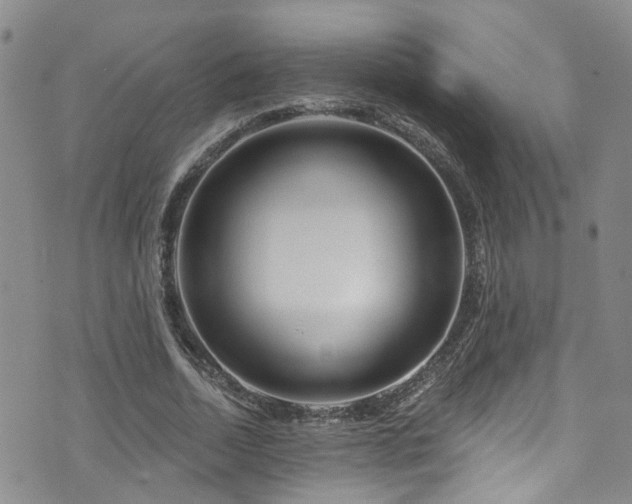 X0000073730730200608031329