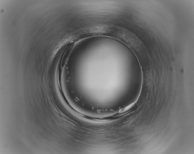 X0000073730731200608031329