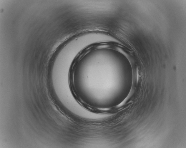 X0000073730732200608031329