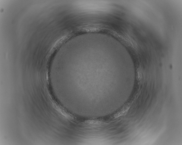 X0000073730733200608031329