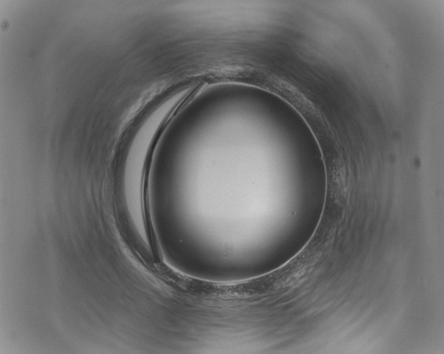 X0000073730734200608031329