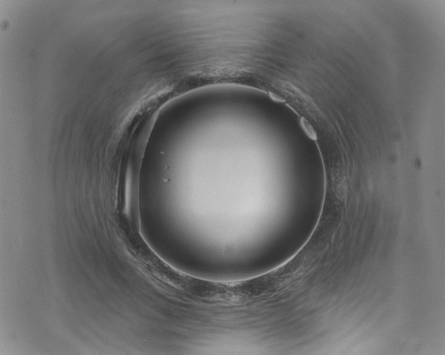 X0000073730735200608031329