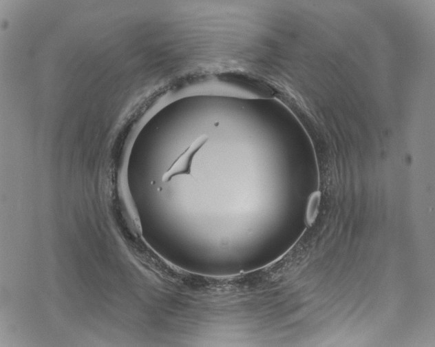 X0000073730736200608031329