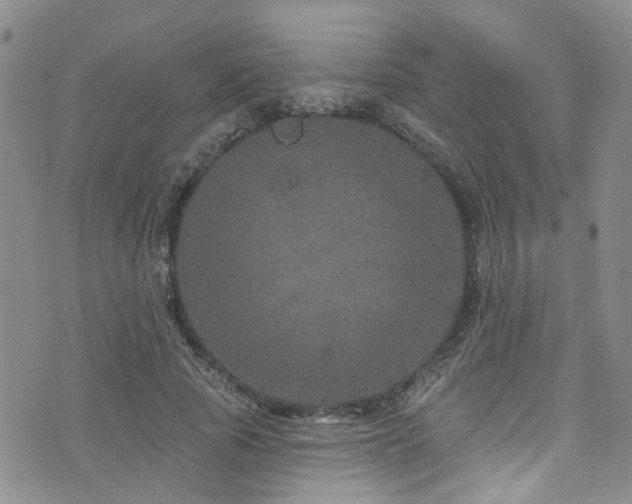 X0000073730737200608031329