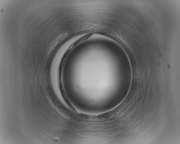 X0000073730738200608031329