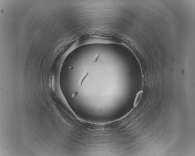 X0000073730740200608031329