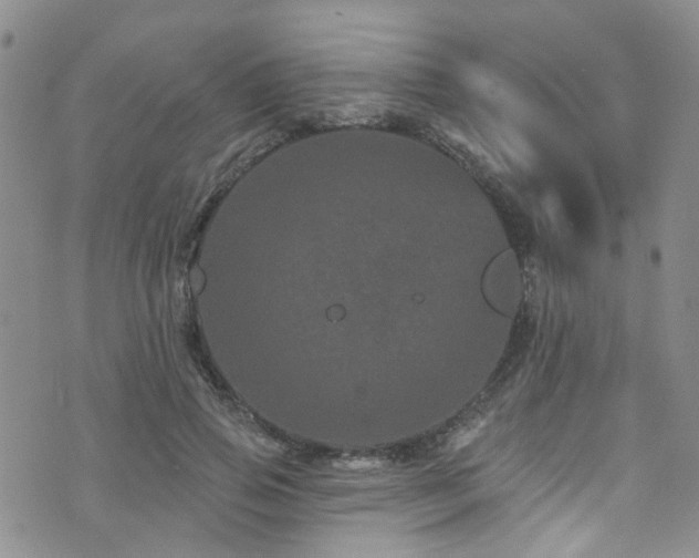 X0000073730741200608031329