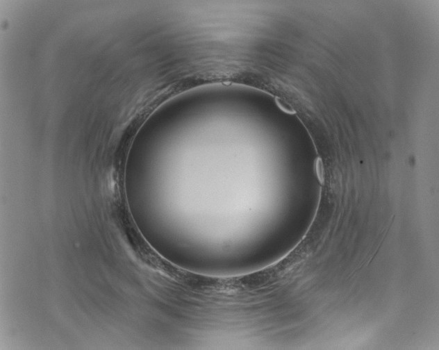 X0000073730743200608031329