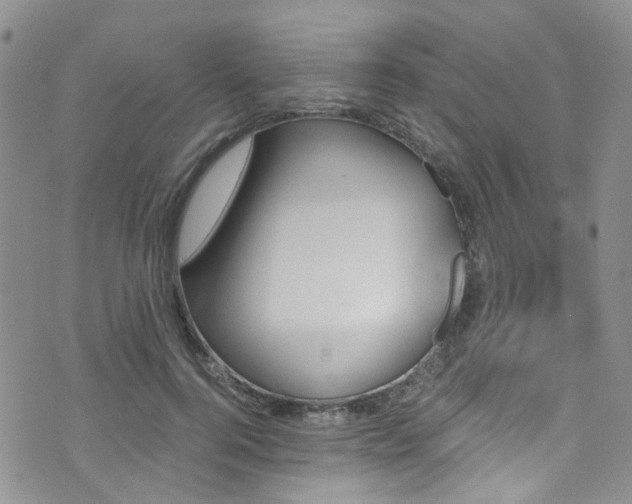 X0000073730744200608031329