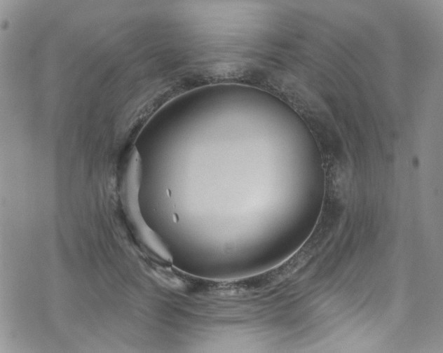 X0000073730746200608031329