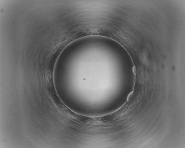 X0000073730747200608031329