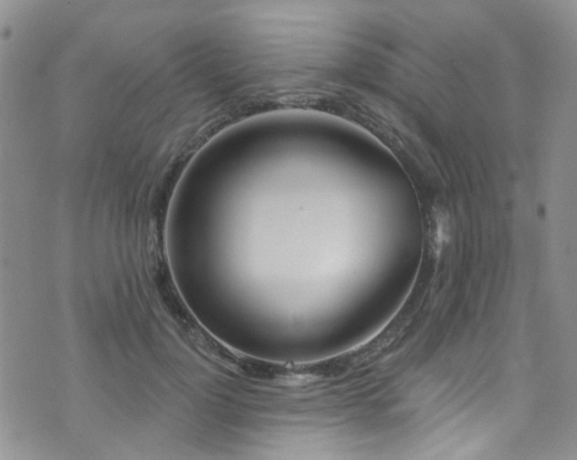 X0000073730748200608031329