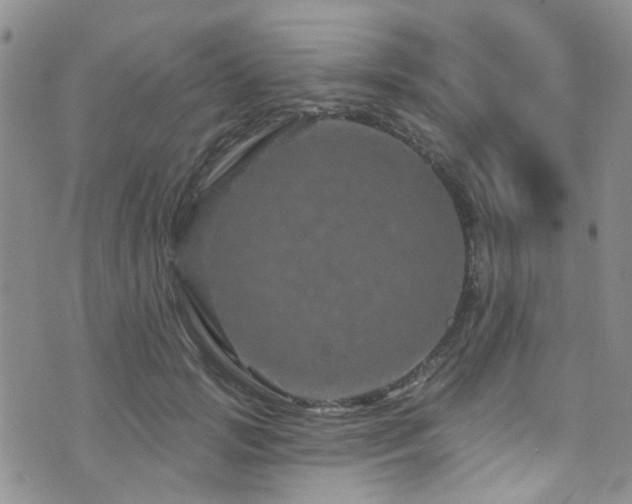 X0000073730749200608031329