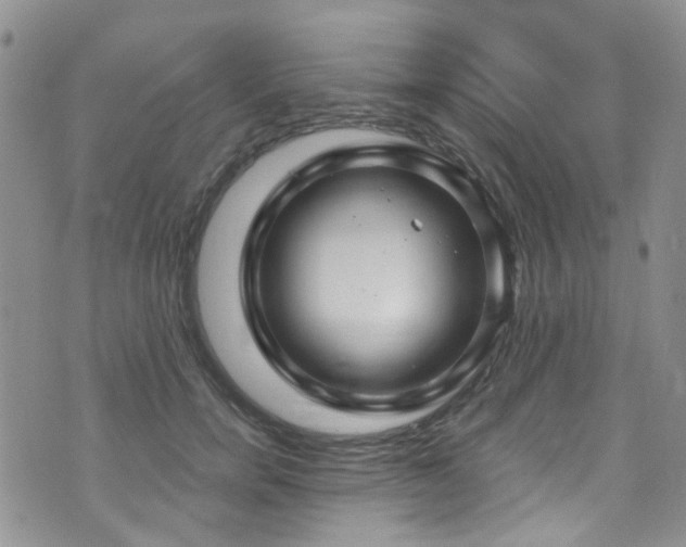 X0000073730750200608031329