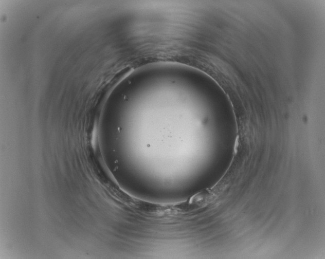 X0000073730752200608031329