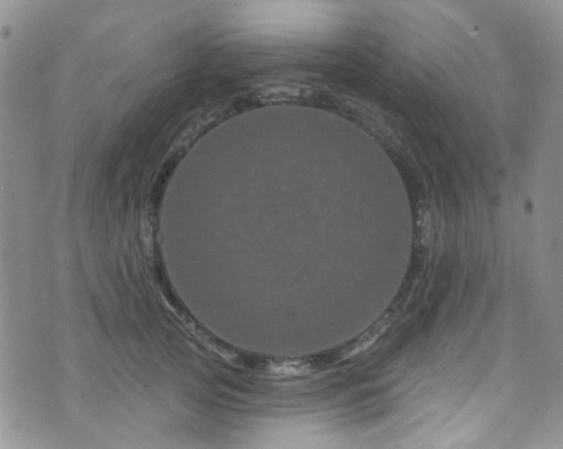 X0000073730753200608031329