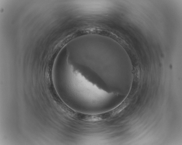 X0000073730754200608031329