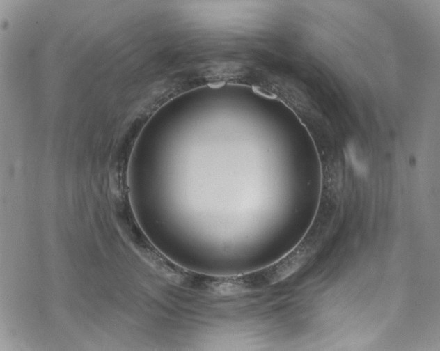 X0000073730755200608031329