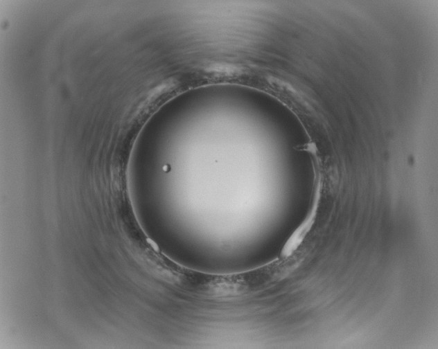 X0000073730756200608031329