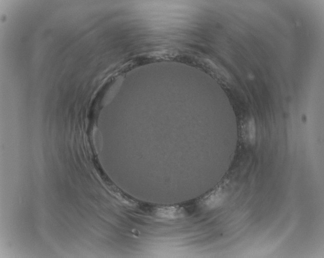 X0000073730757200608031329