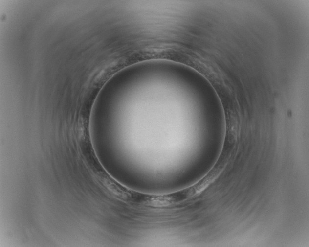 X0000073730758200608031329