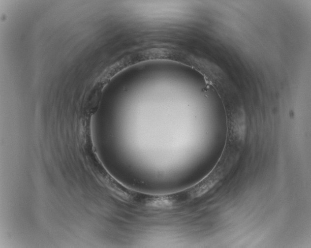 X0000073730759200608031329