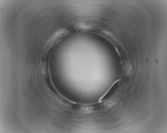 X0000073730760200608031329