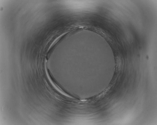 X0000073730761200608031329