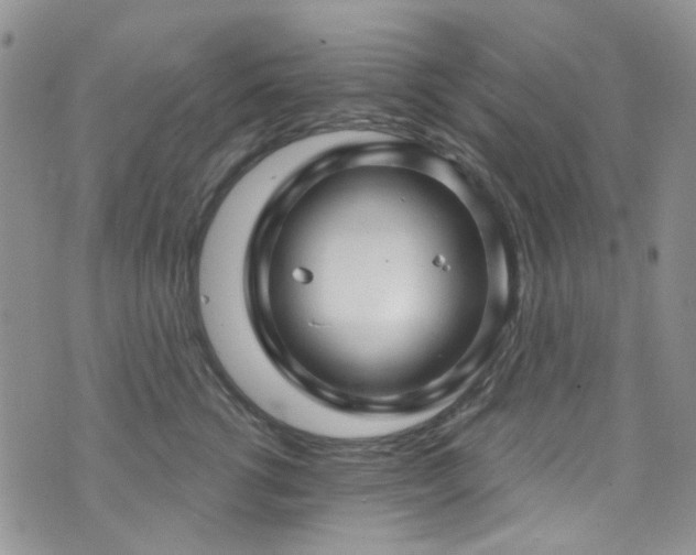 X0000073730762200608031329