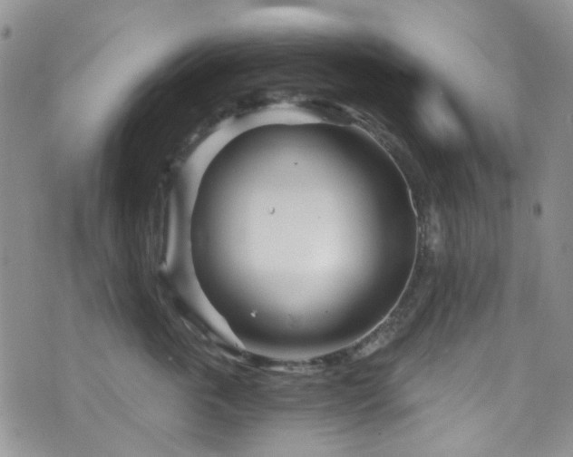 X0000073730763200608031329