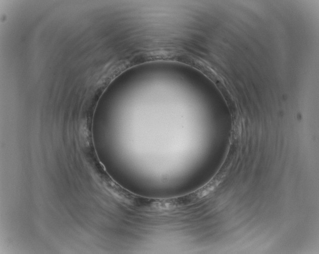 X0000073730764200608031329