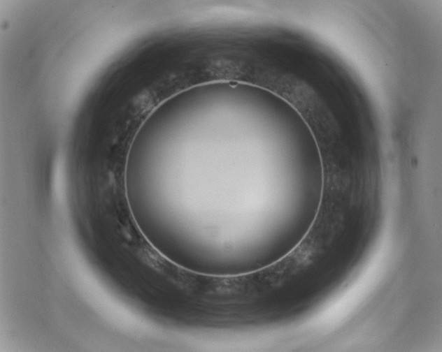 X0000073730765200608031329