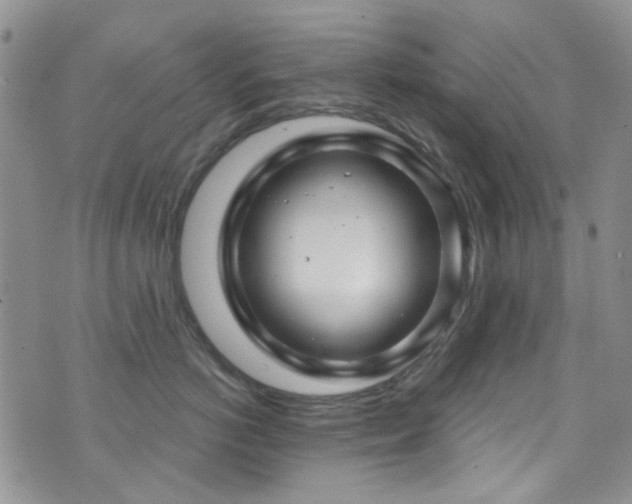 X0000073730766200608031329